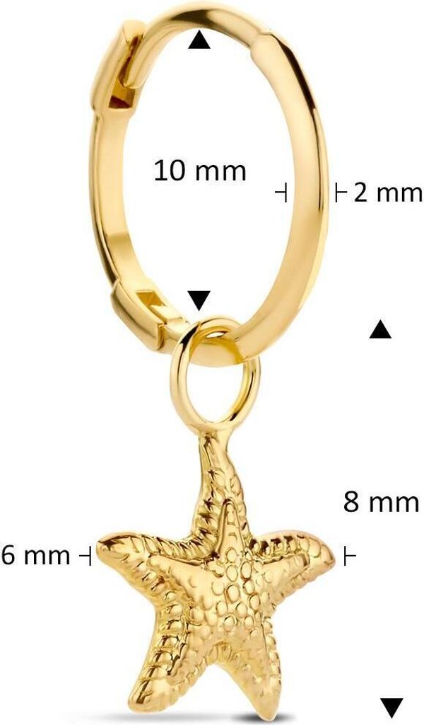 Jackie Gold JKS20.042 Ohrringe Produktbild 