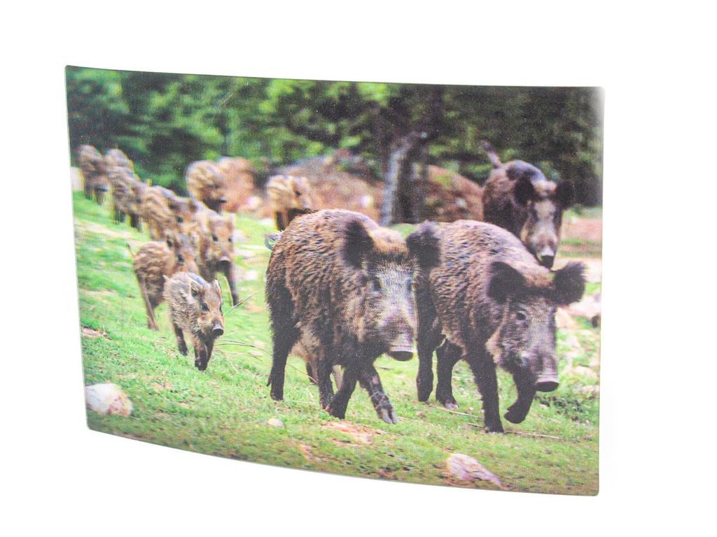 3D Postkarte Wildschwein Familie Produktbild 