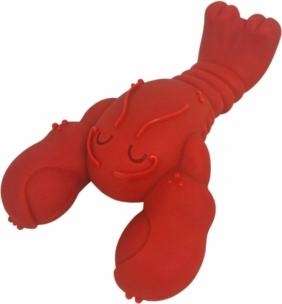 Jouet dentaire pour gros chien Nylabone Homard goût Filet Mignon