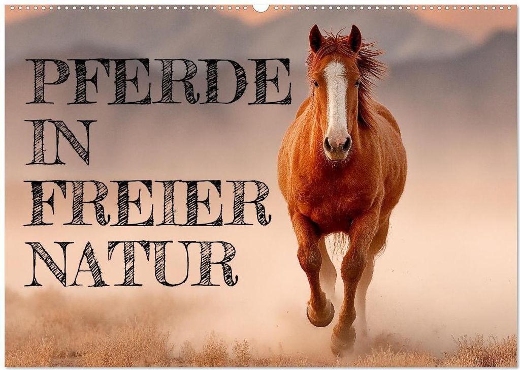 Pferde in freier Natur (Wandkalender 2026 DIN A2 quer), CALVENDO Monatskalender