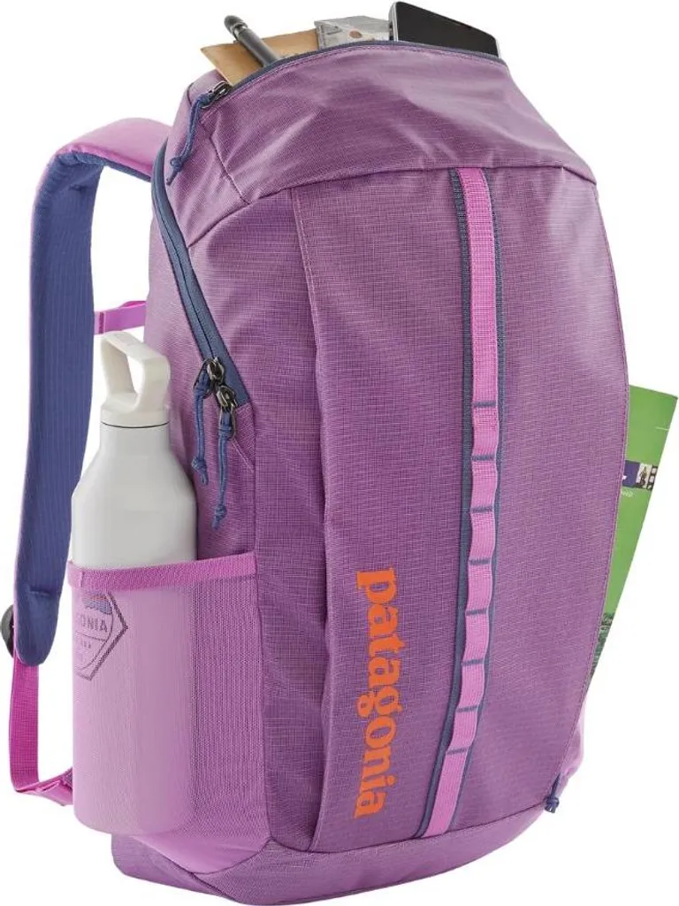 Patagonia Black Hole Pack 25L Viola Vivace - Recensione e Prezzo - 3