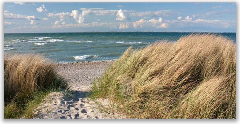 Küchenrückwand aus Glas 140x70cm Spritzschutz Fußpfad Meer Gras Landschaft