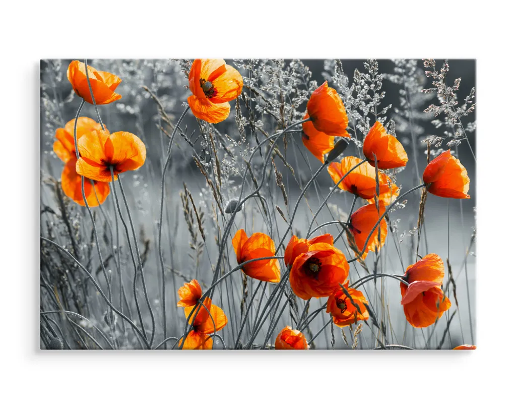 Favolosa tela PICTURES 120x80 cm XXL stampa d'arte natura fiori papaveri - 3