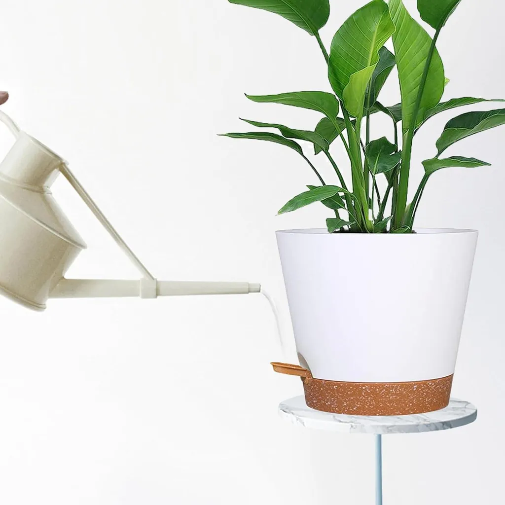 Pot à succulentes avec réservoir d'eau et trou de drainage - Blanc - 3