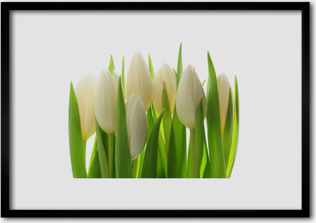 Bild 100x70 MDF-Rahmen Wandkunst Pflanze Tulpen Natur