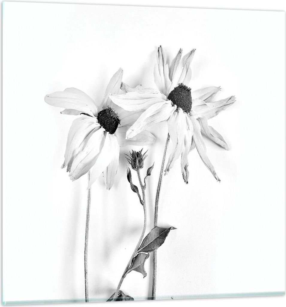 Bilder auf glas - Einteilig - Verwelkt Blumen Monochrom - Produktbild 