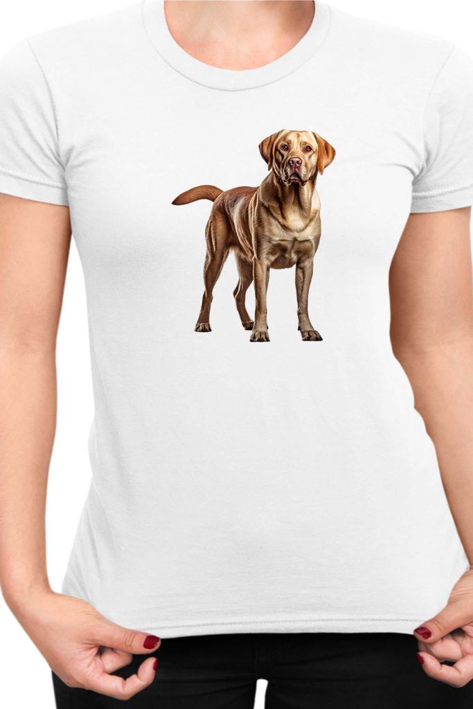 Damen T-Shirt Dogs Breeds Labrador Retriever Dog Breed 005, Lady M / Weiß