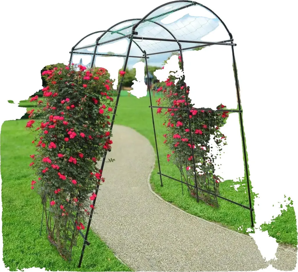 Support de croissance pour rosiers et vignes treillis acier 77,16 lb