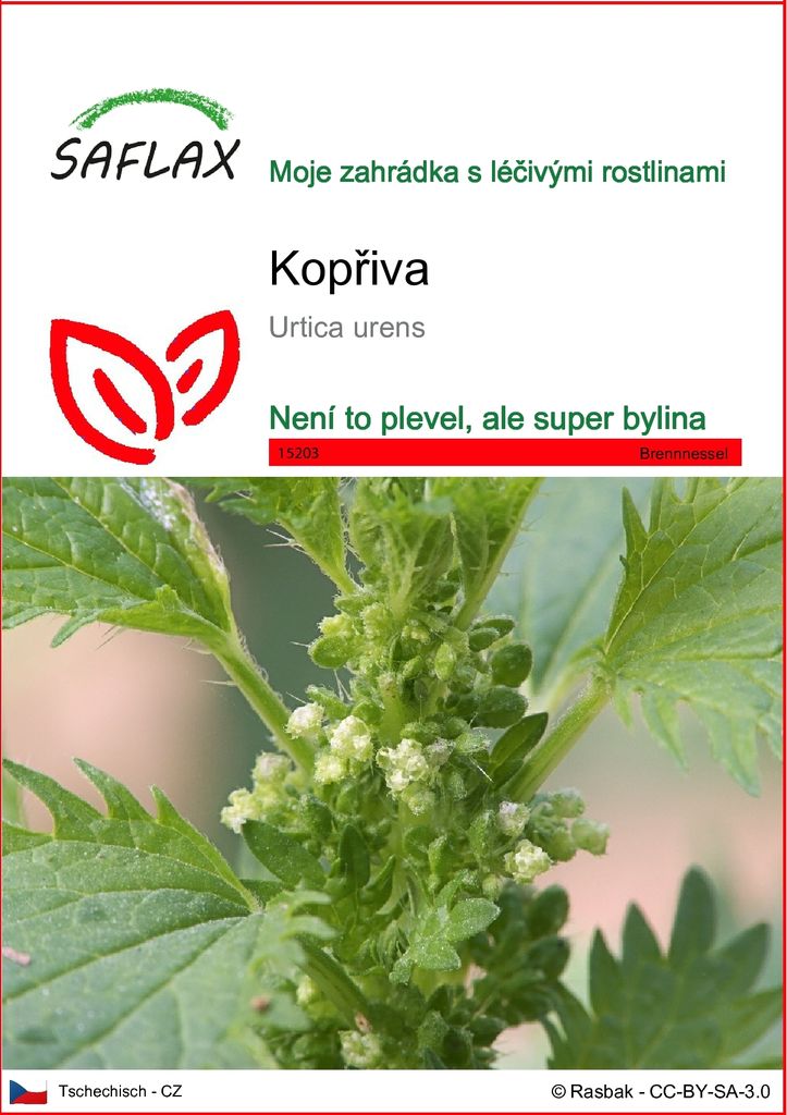 SAFLAX - kopřiva - Urtica urens - 150 Semena Obrázek produktu 
