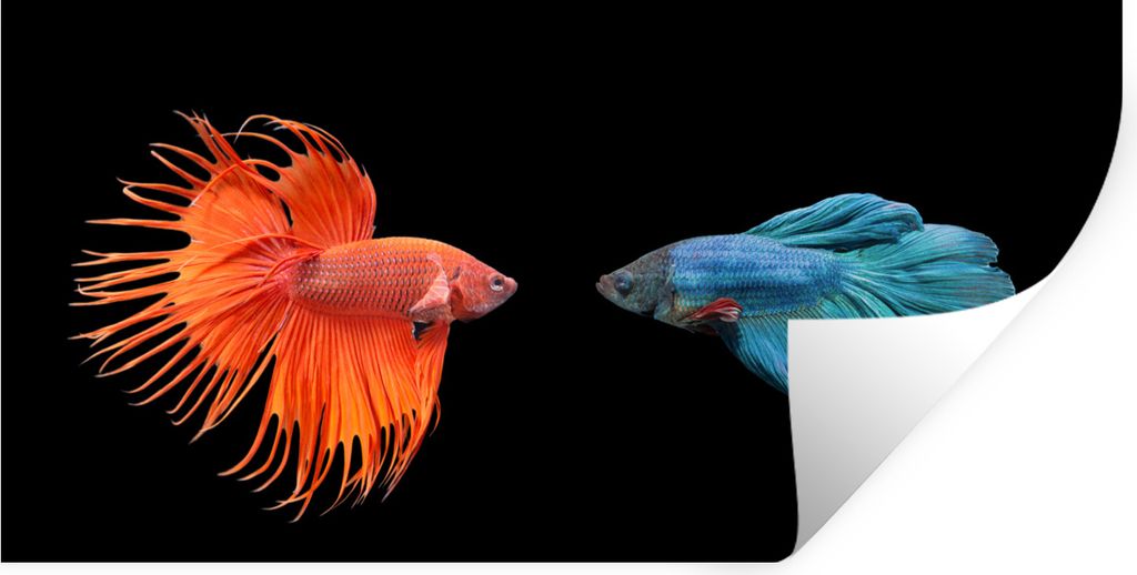 MuchoWow Wandtattoo Wandsticker Wandaufkleber Fische - Wilde Tiere - Schwarz 120x60 cm Selbstklebend und Repositionierbar