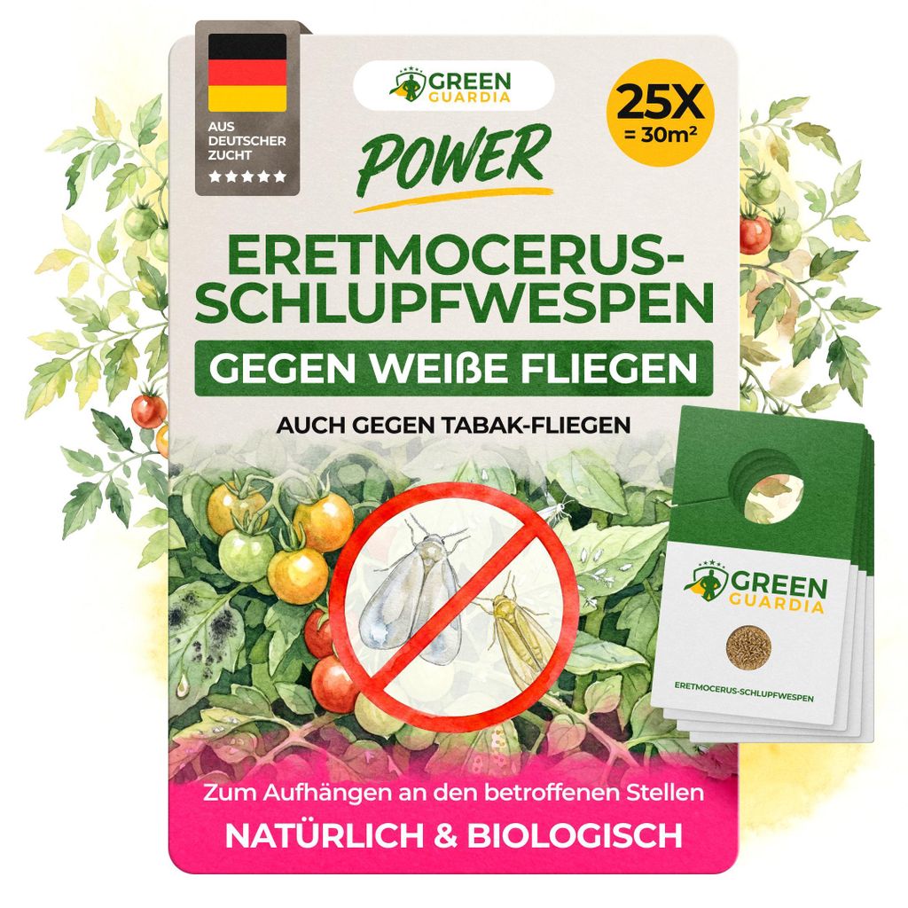 Eretmocerus Schlupfwespen gegen weiße Fliegen & Produktbild 