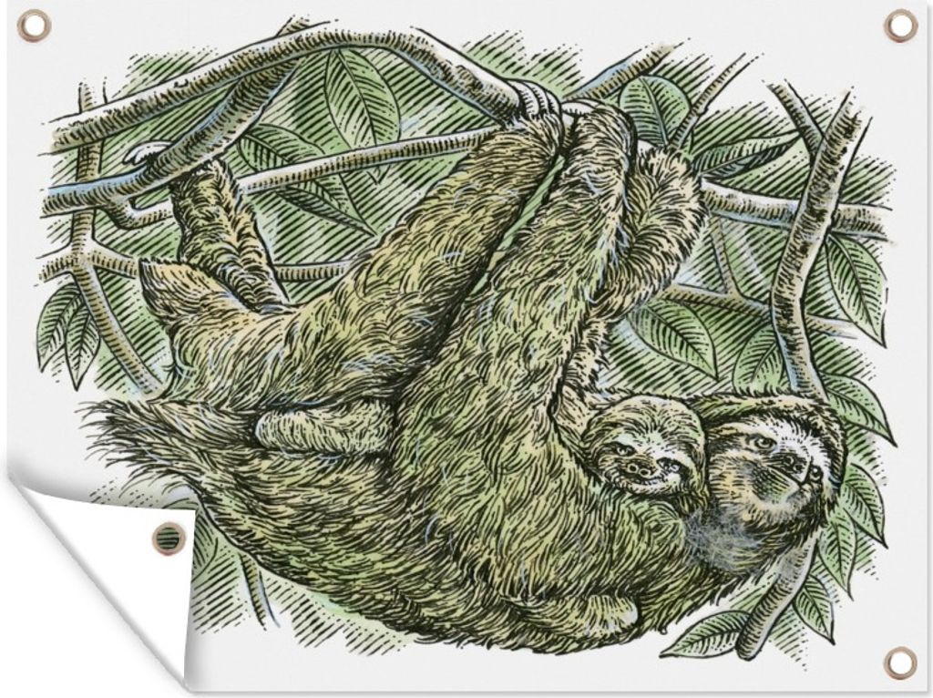 MuchoWow 40x30 cm Outdoor-Poster Gartendeko Sichtschutz Garten Poster für den Garten Eine Illustration eines Faultiers mit einem kleinen Faulti...