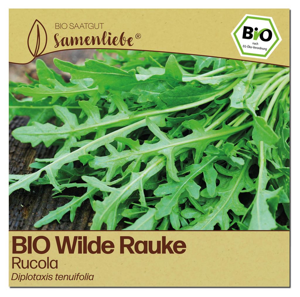 Samenliebe  Wilde Rauke Samen | Rucola - winterhart & Produktbild 