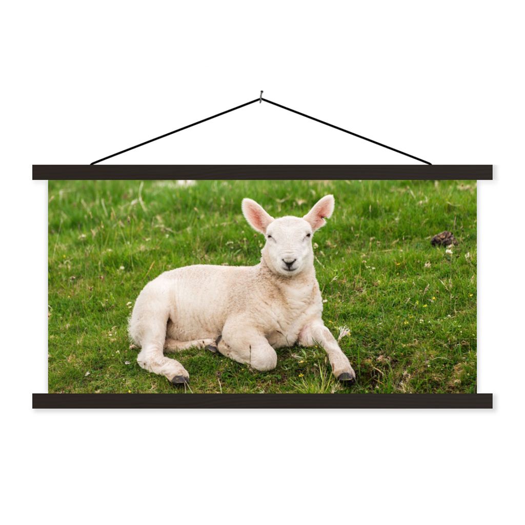 MuchoWow Textilposter Schafe - Tiere - Lamm 120x60 cm mit schwarzem Rahmen - Dekoration Schlafzimmer