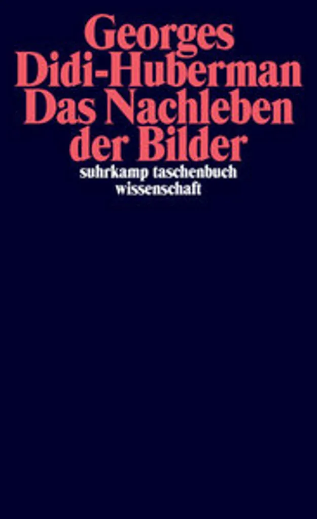 Das Nachleben der Bilder : Analyse Théorique et Iconographique Majeure
