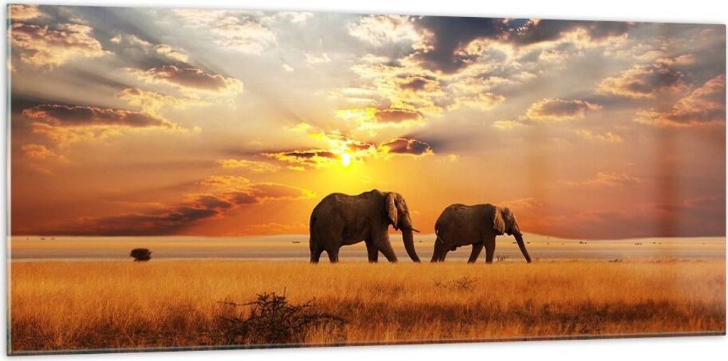 Bilder auf glas - Elefanten Safari Dschungel Busch - 120x50cm - Glasbilder - Wandbilder - Kunstdruck - zum Aufhängen bereit - Wanddekoration aus G...