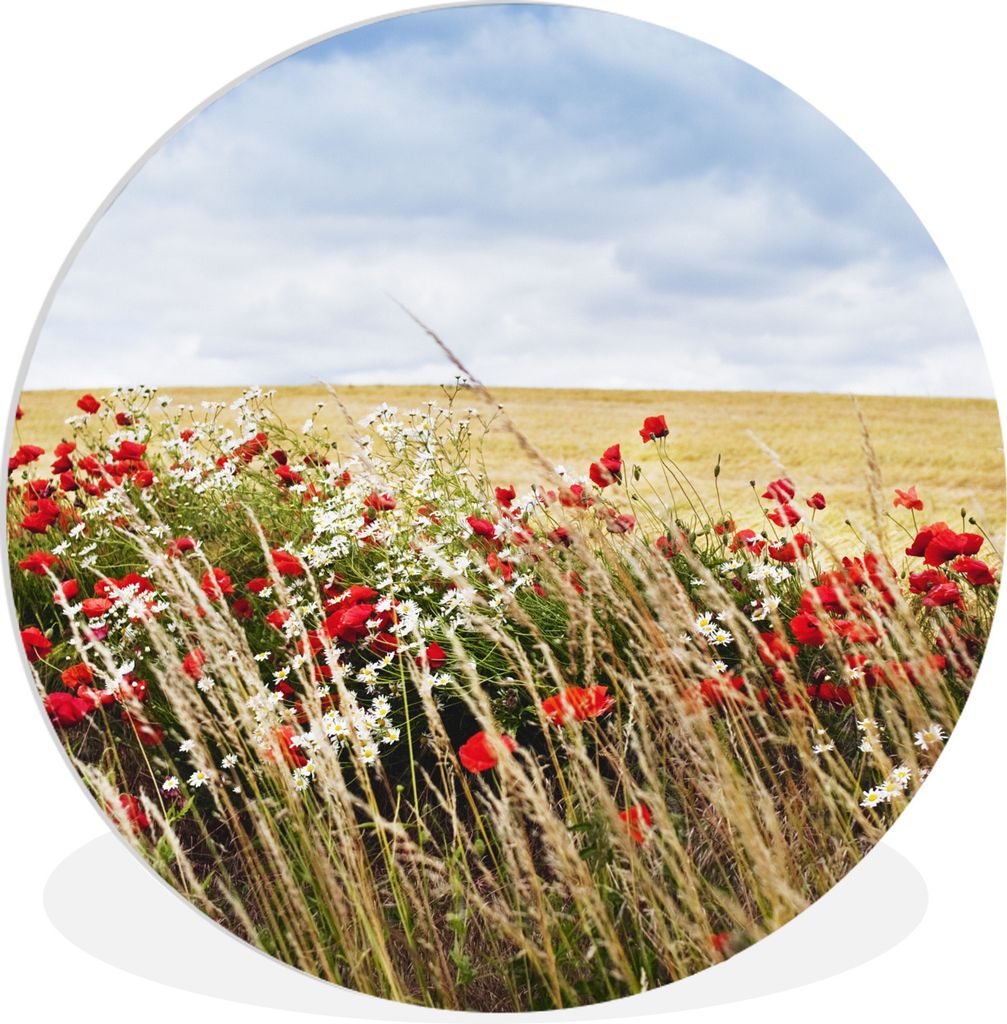 MuchoWow Rundes Wandbild - Runde Bilder Wolken - Blumen - Rot Ø 90 cm Kreis Wanddekoration Kunststoff - Wandkreis - Wandschmuck - Wand-Kreis - W...