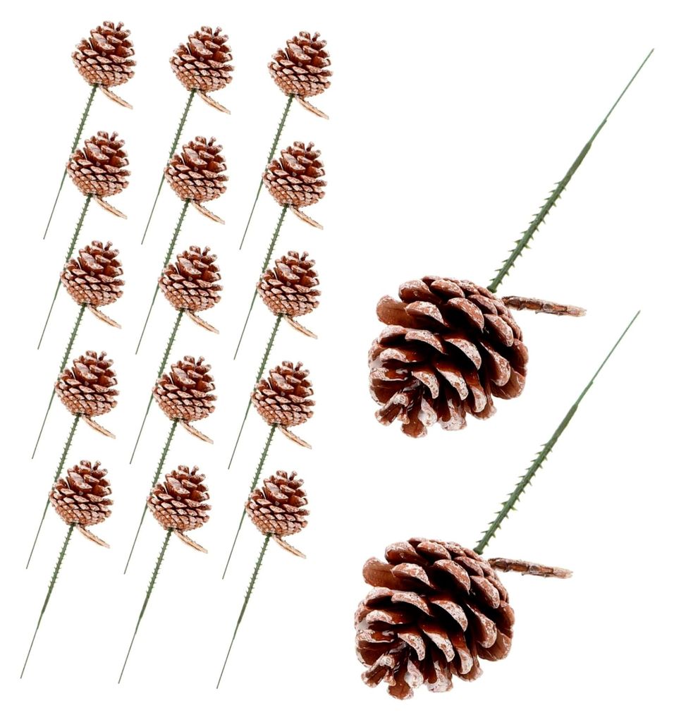 20 Stück Tannenzapfen Deko für Weihnachten, Winterfeiern, Girlanden und Bastelarbeiten