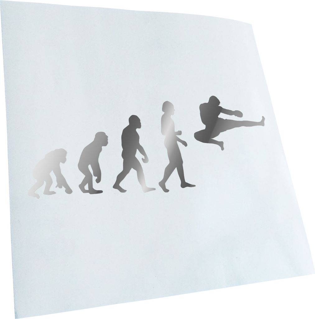 Kiwistar - Autoaufkleber - Evolution Kampfsport Fight Heckscheibenaufkleber - Aufkleber für Auto Kfz Fahrrad, LKW, Truck Mofa