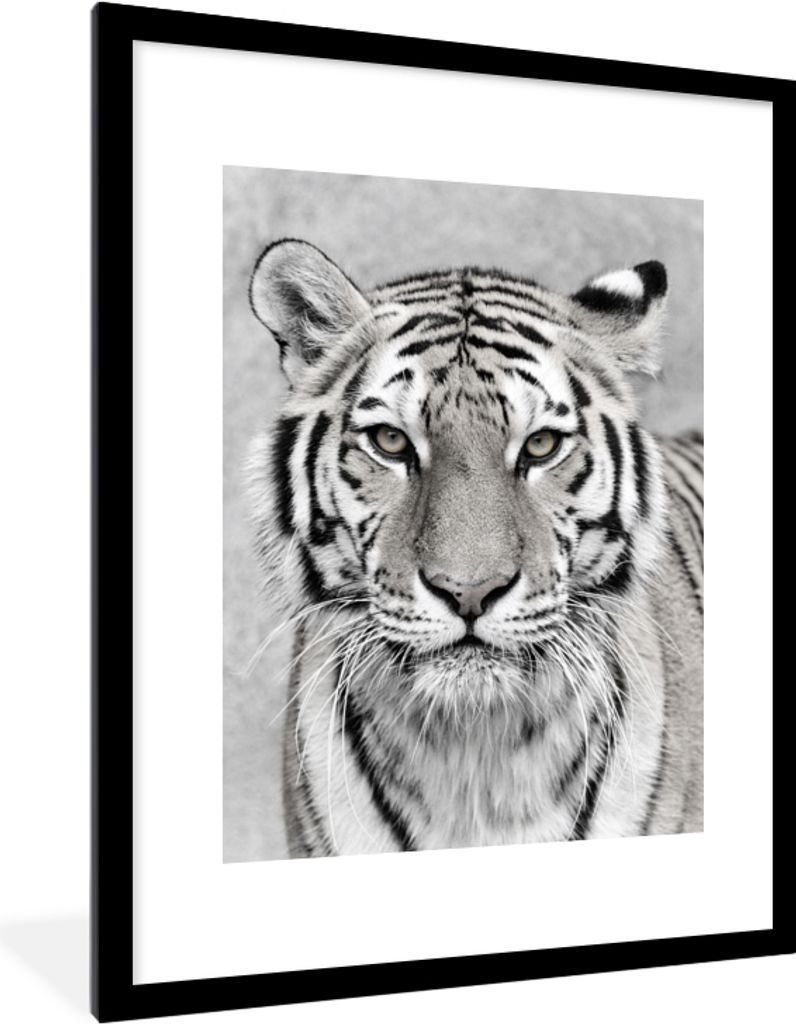 MuchoWow Gerahmtes Poster Tiger - Natur - Schwarz - Weiß 60x80 cm - Poster mit Schwarzem Bilderrahmen Wandposter Rahmen Foto Bilder - Wohnzimmer...
