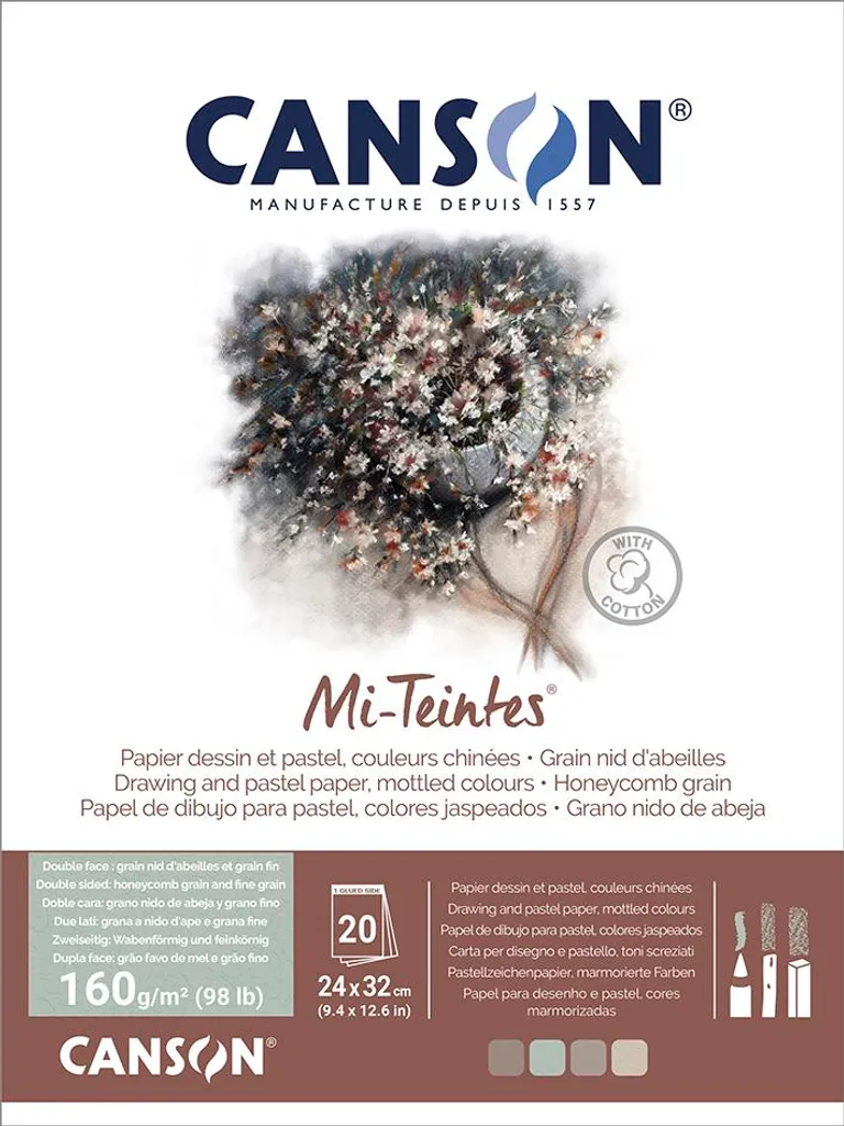 Papier à dessin Canson Mi-Teintes Bloc Artiste 320 x 410 mm 160g
