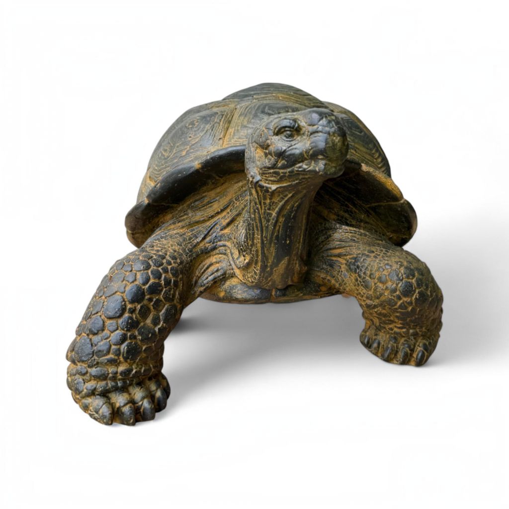 Tortue en pierre - Piscine, jardin, terrasse - Jaunâtre en Image du produit 
