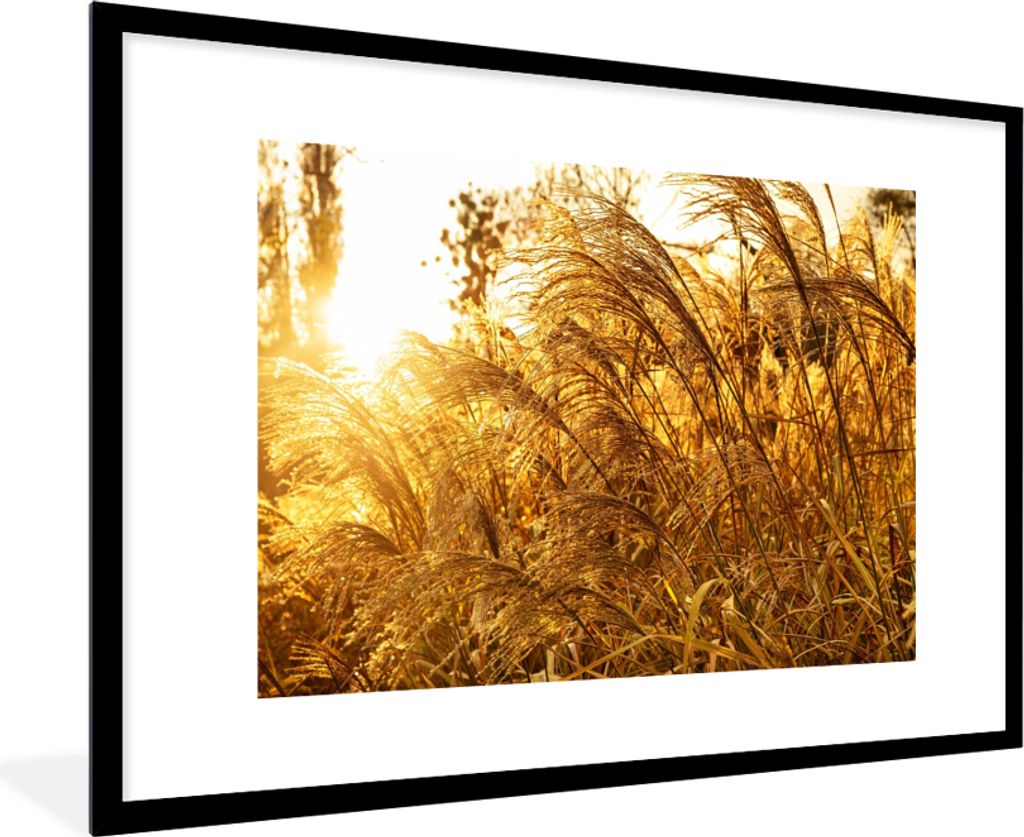 MuchoWow Gerahmtes Poster Pampasgras - Sonne - Gras 90x60 cm - Poster mit Schwarzem Bilderrahmen Wandposter Rahmen Foto Bilder - Wanddekoration -...
