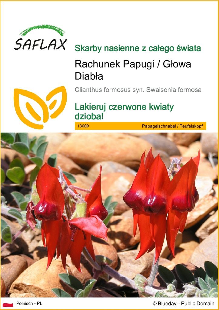 SAFLAX - Rachunek Papugi / Głowa Diabła - 20 Nasiona - Zdjęcie produktu 