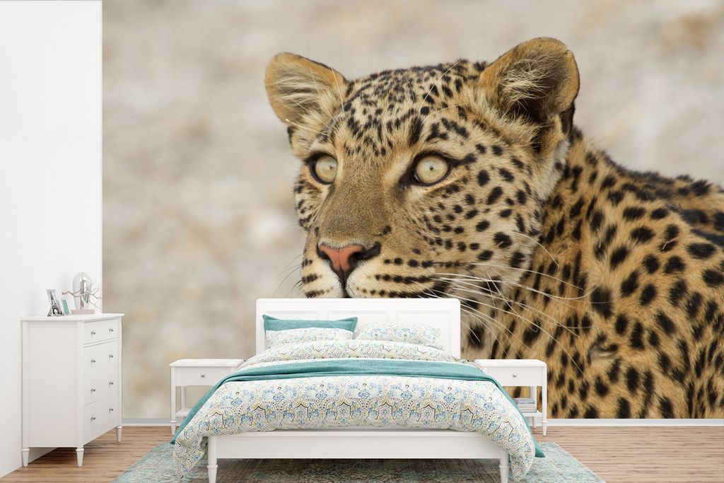 MuchoWow Fototapete für Wohnzimmer oder Schlafzimmer Wandtapete Vinyl Motivtapete Leopard - Makro - Braun - 450x300 cm - Gemusterte