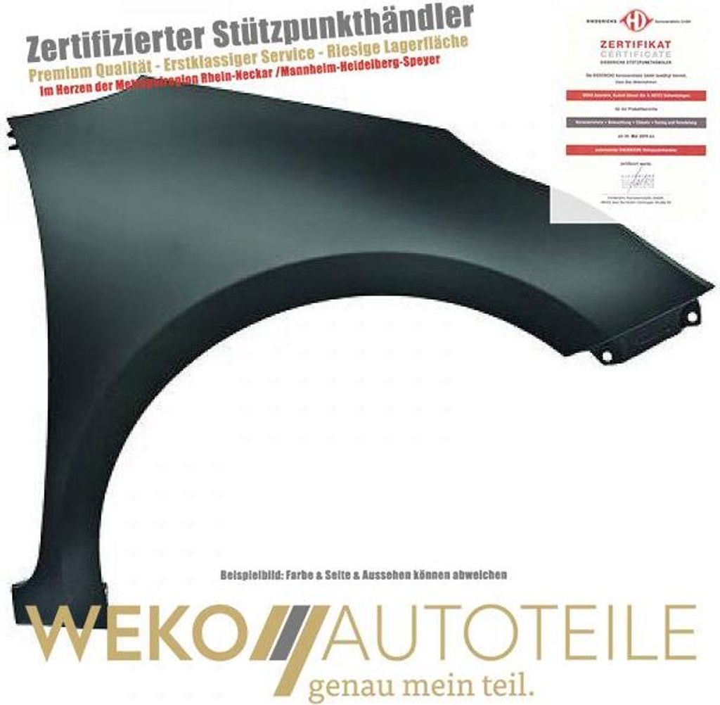 Kotflügel links DIEDERICHS 6554107 für KIA