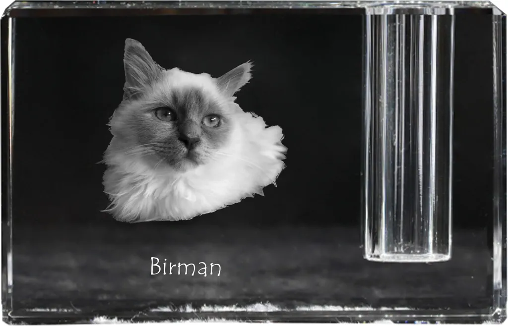 Porte-crayons Birman cristal : fini le désordre avec style et élégance
