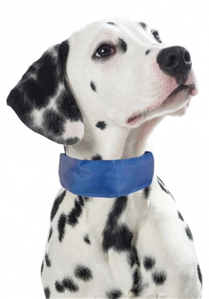 PROCYON Kühl-Bandana für Hunde - L