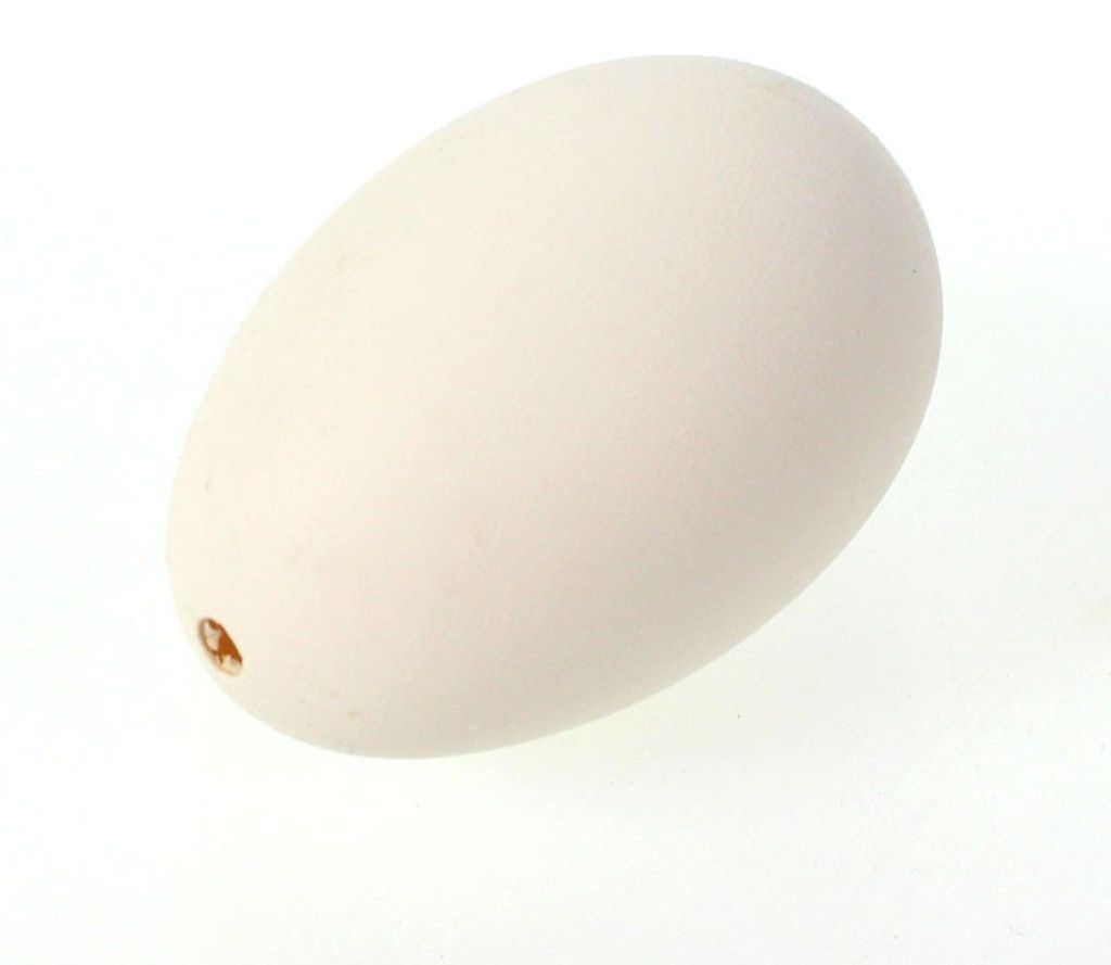 6  Gänseeier ausgeblasen Eier Gans ca. 9cm Dekoeier Produktbild 