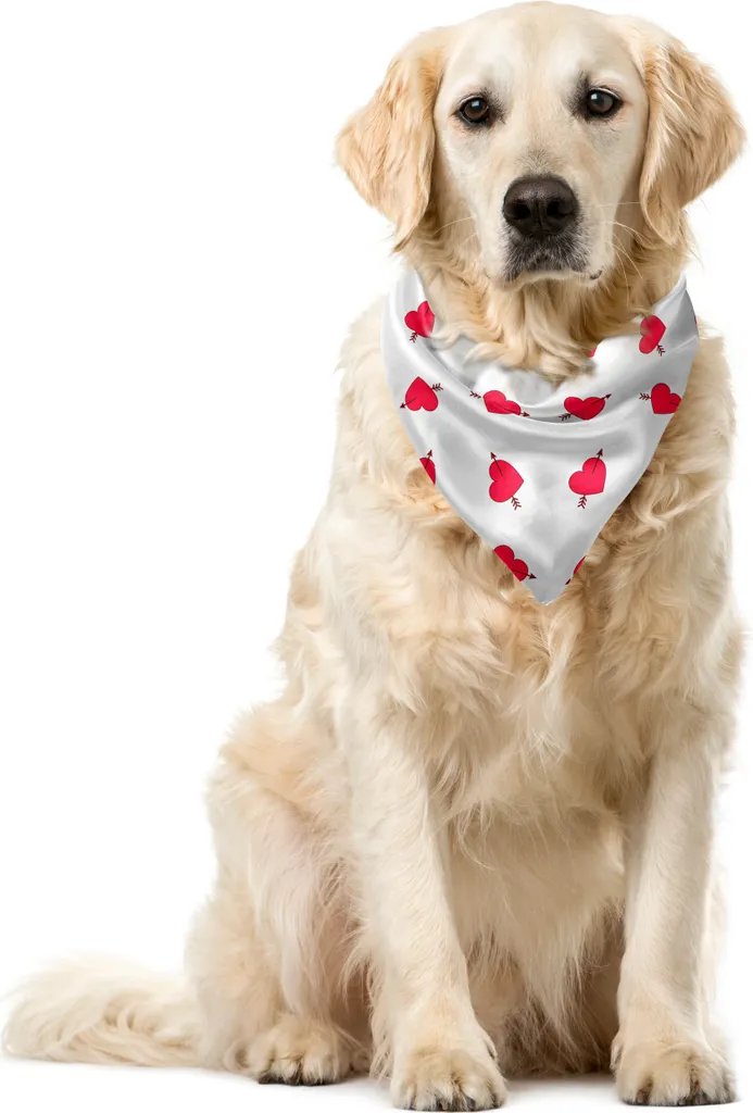 Bandana Professionale per Animali ABAKUHAUS 55x55 San Valentino