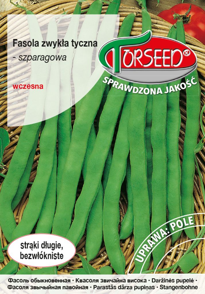 Samen von Hilds Neckarkoenigin 10g Stangenbohnen - Torseed Produktbild 