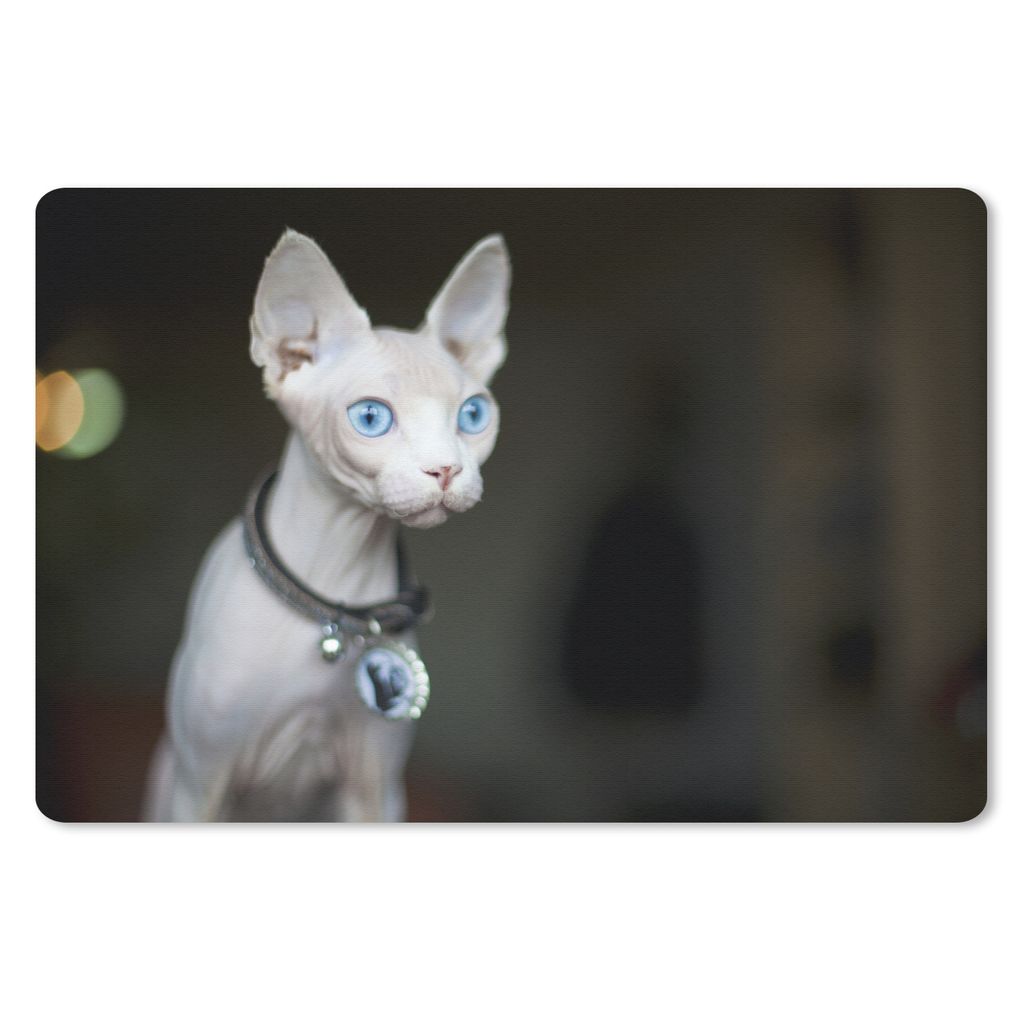 MuchoWow Mauspad Mousepad Sphynx-Katze mit auffallend blauen Augen 27x18 cm - Mousepads - Maus Mat - Pad - Mausunterlage - Büroartikel - Desk Ma...