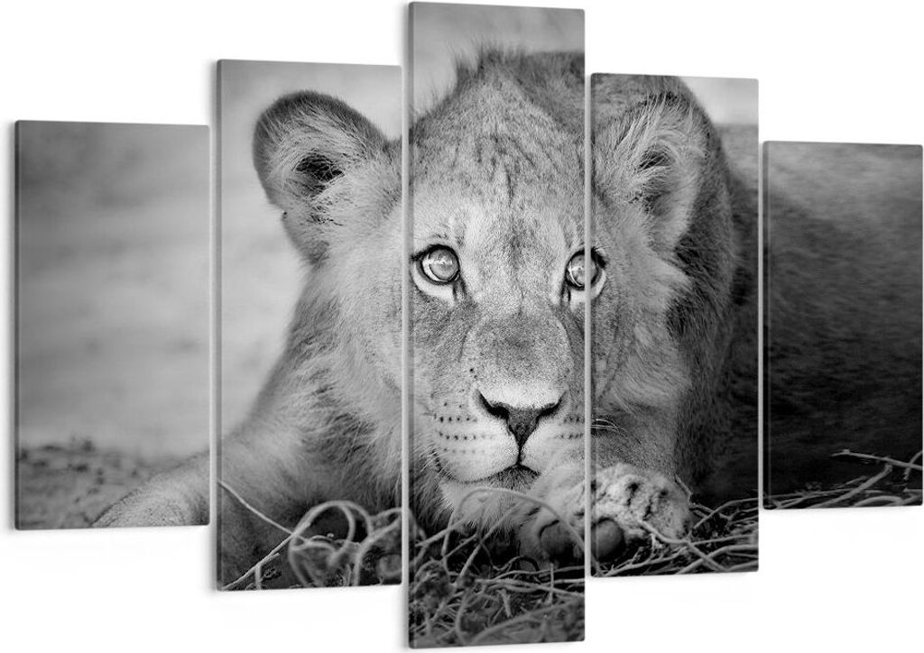 Bild auf Leinwand - Leinwandbild - 5 Teile - Löwe asiatisch Porträt - 150x100cm - Wand Bild - Wanddeko - Wandbilder - Leinwanddruck - Bilder - Wa...