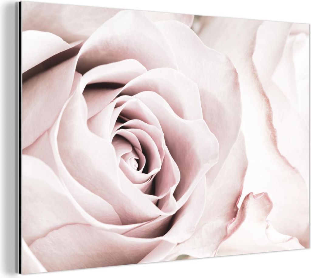 MuchoWow Wanddekoration Metall Metallbild Wandkunst 60x40 cm Blumen - Rose - Rosa - Botanisch MuchoWow Aluminium Gemälde - Gemälder