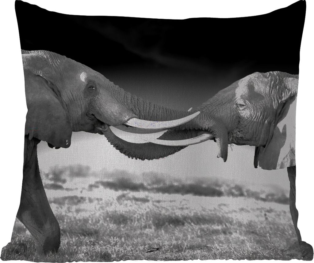 MuchoWow Outdoor Kissen - Elefant - Tiere - Schwarz und weiß - Porträt - Landschaft - 45x45 cm - Wetterfest - Lounge Kissen - Fotokissen - Deko...