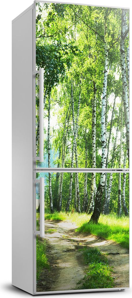 Tulup Kühlschrankdekoration - 70x190 cm - Aufkleber auf dem Kühlschrank - Birkenwald