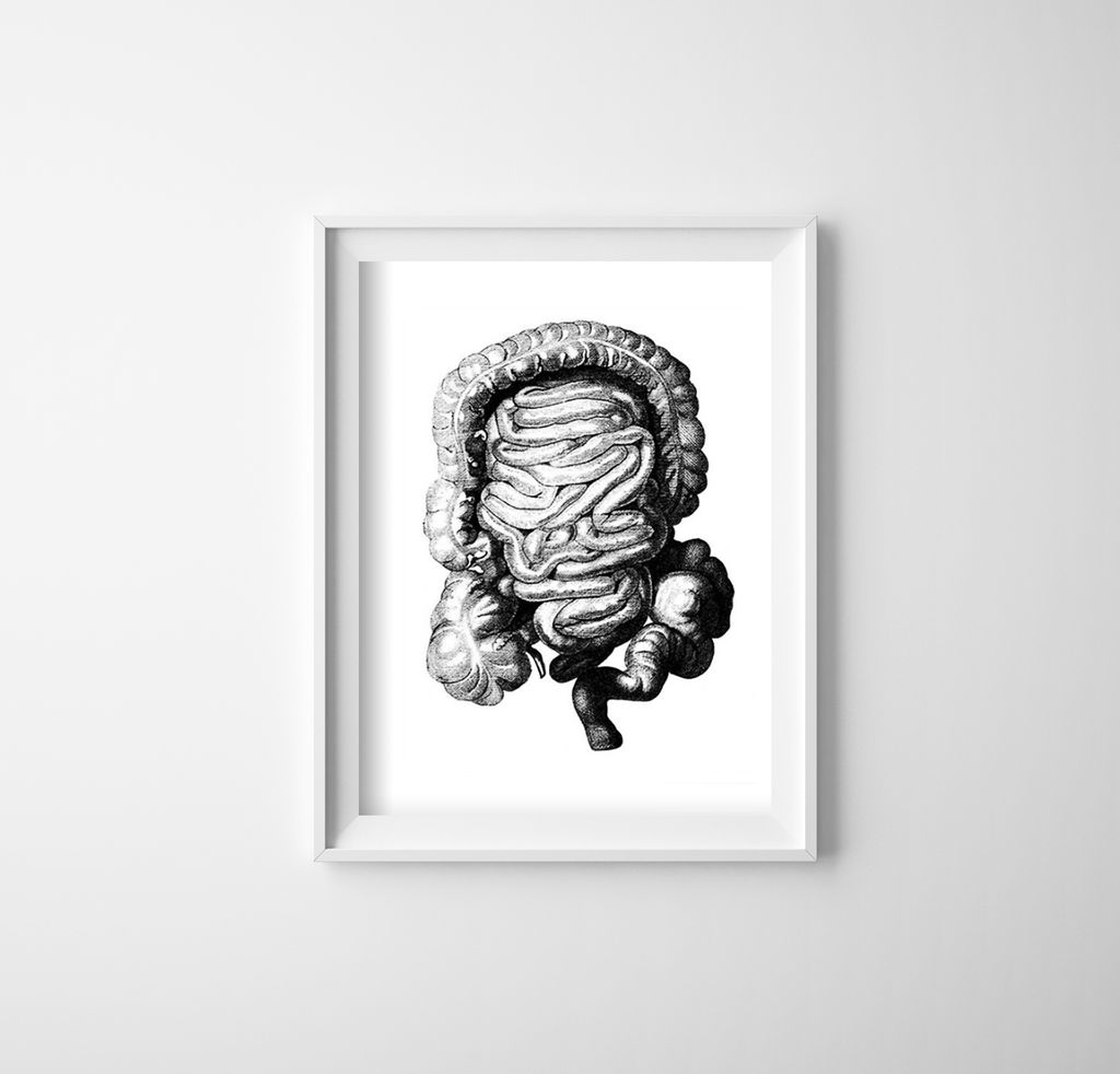 Poster - Canvas - Leinwand - 42 cm x 59,4 cm - Anatomische Fußabdruck Kolon
