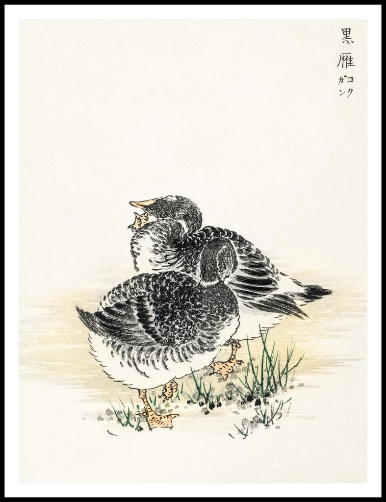 Plakat 75x100cm Black Brant, Japanischer Kashu Vintage für das Wohnzimmer