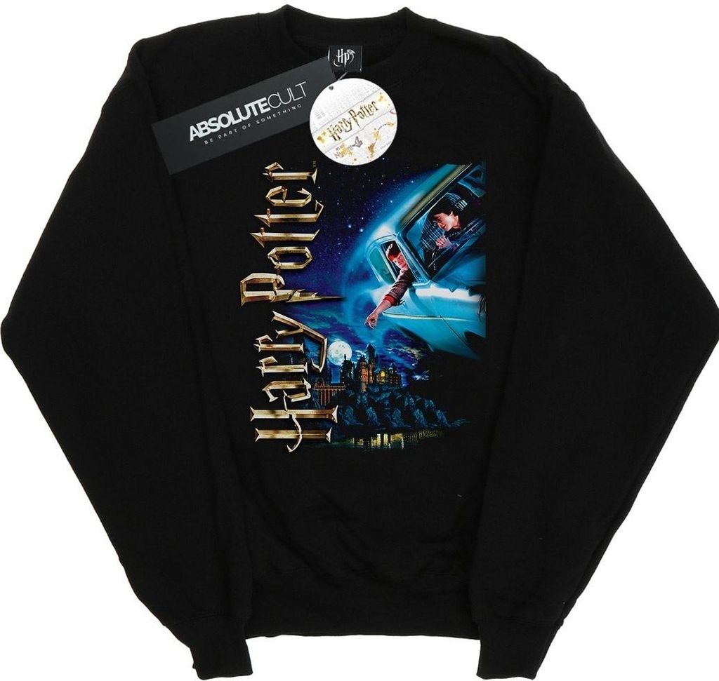 Harry Potter - "Smiles At Hogwarts" Sweatshirt für Herren BI28242 (M) (Schwarz)