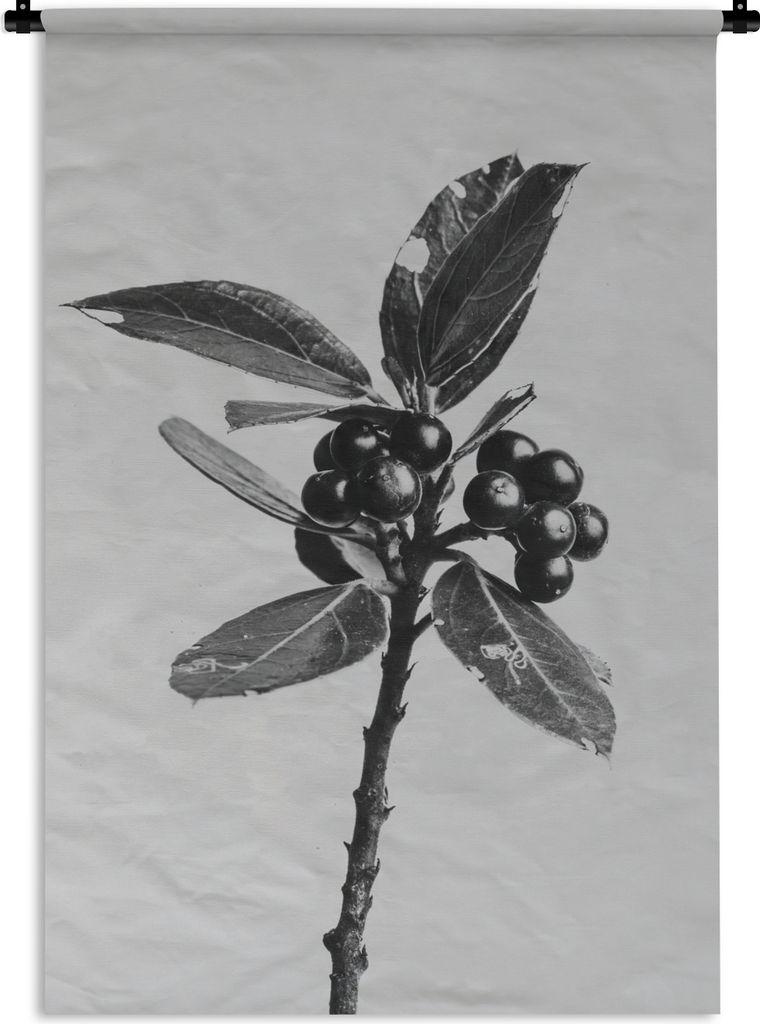 MuchoWow Wandteppich Wandbehang Beeren - Zweig - Schwarz - Weiß 90x135 cm Tapisserie Dekoration Wandtuch - Baumwolle - Wandskulptur