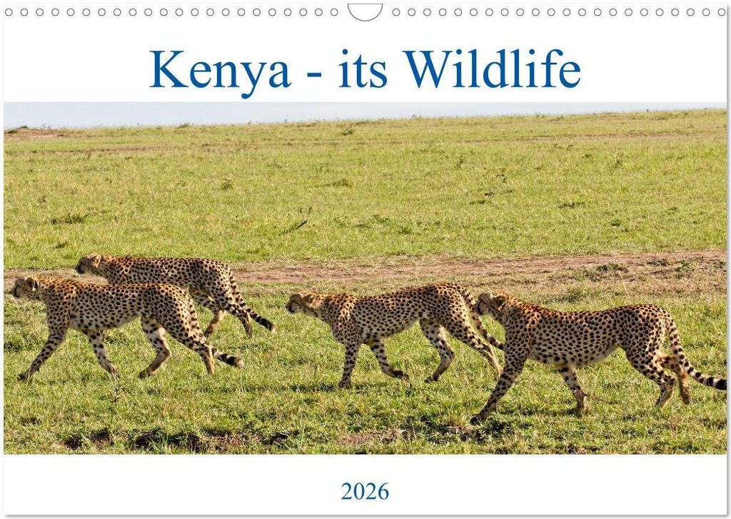 Kenya - its Wildlife (Wall Calendar 2026 DIN A3 landscape), CALVENDO 12 Month Wall Calendar