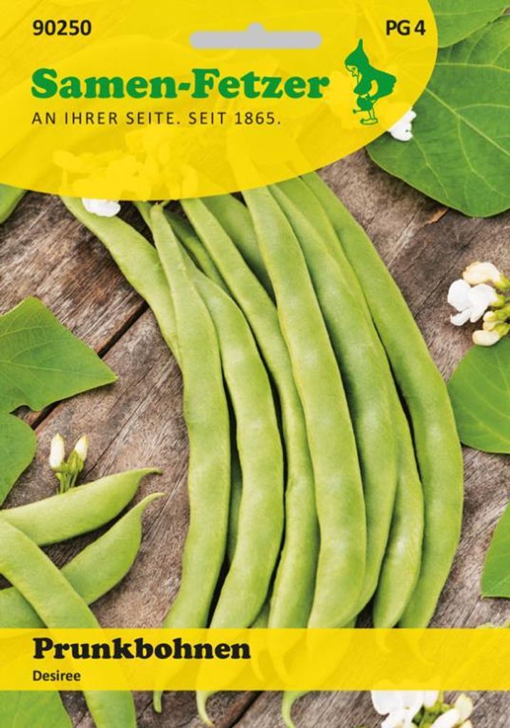 Prunkbohne Desiree