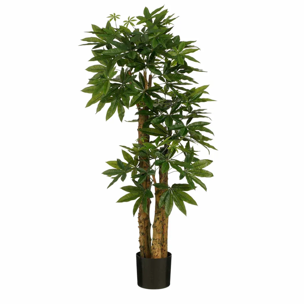Pachira synthétique haut de gamme - Tronc tressé et feuillage dense 175cm