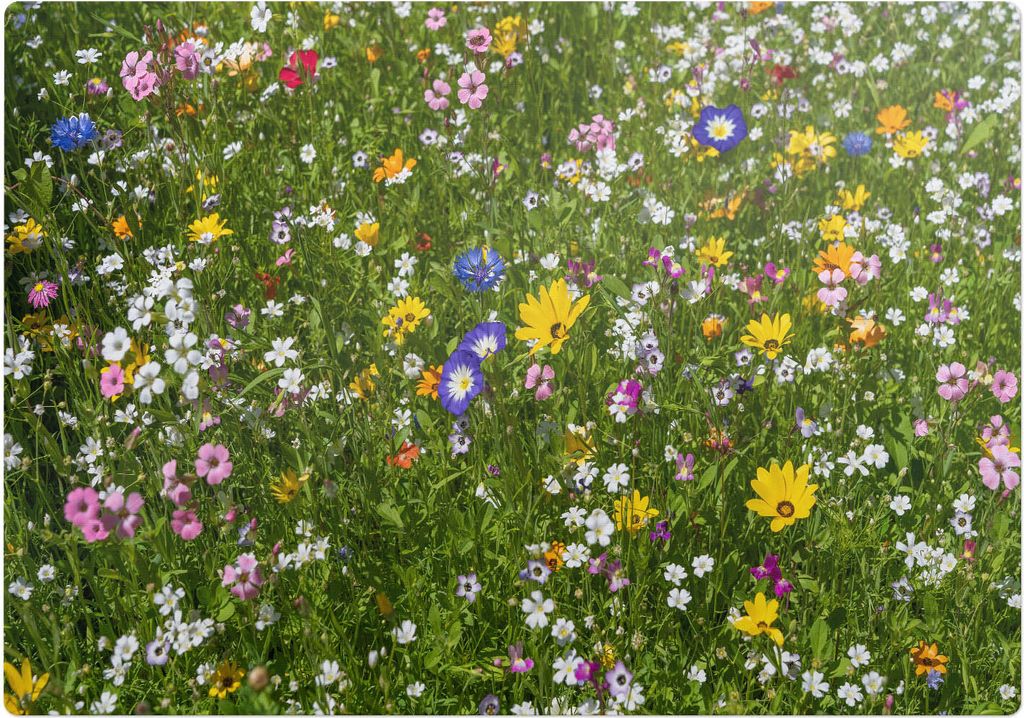 Blühende Wiese – Bodenschutzmatte – Stuhlunterlage 100x100 cm – Rutschfest – Hartbodenmatte