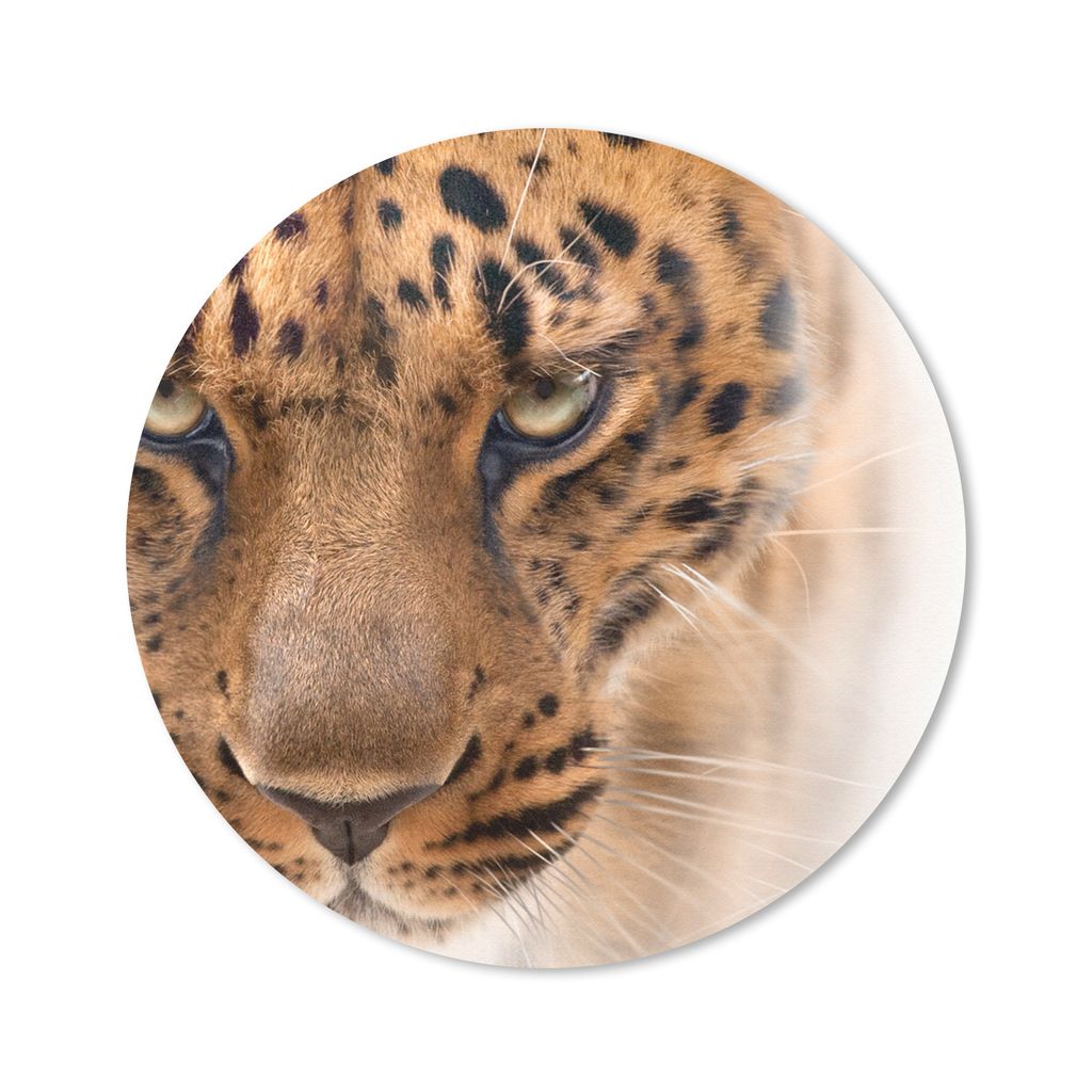 MuchoWow Mauspad Mousepad Leopard - Porträt - Augen 30x30 cm - Mousepads - Maus Mat - Pad - Mausunterlage - Tischunterlage - Schreibtischmatten