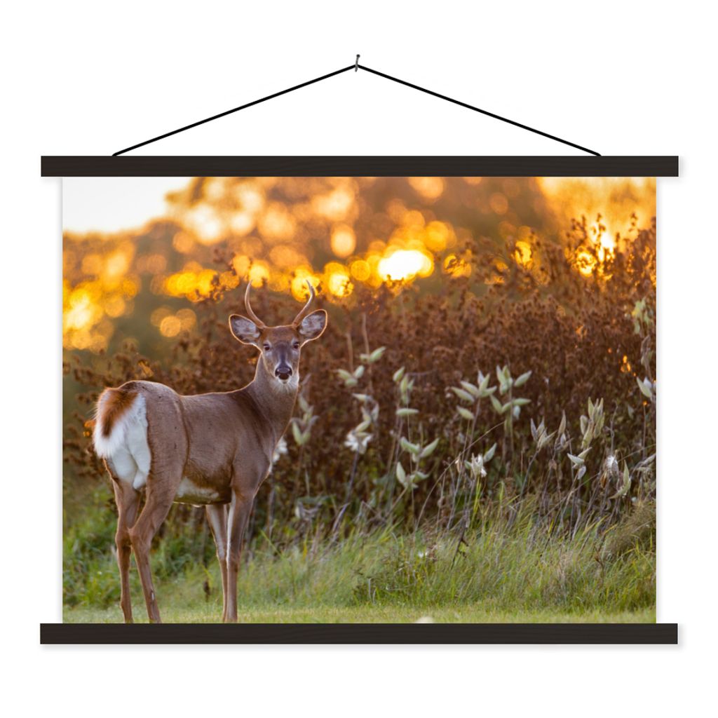 MuchoWow Textilposter Hirsche - Pflanzen - Sonnenuntergang - Wildtiere - Natur 60x45 cm mit schwarzem Rahmen - Poster Schlafzimmer